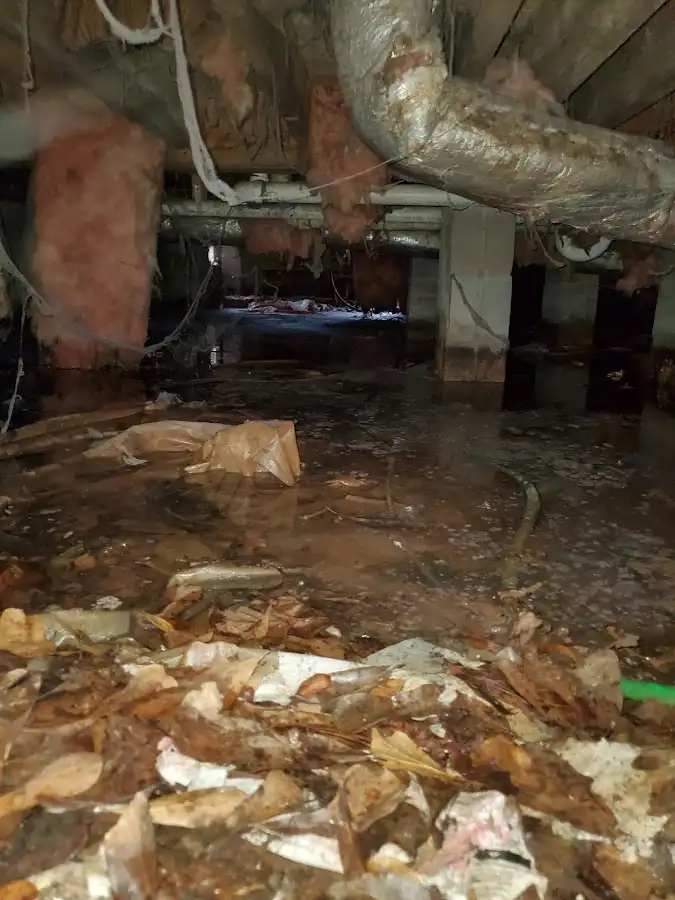 Crawl space flood assessment for Leak Detection & Repair in Traverse City